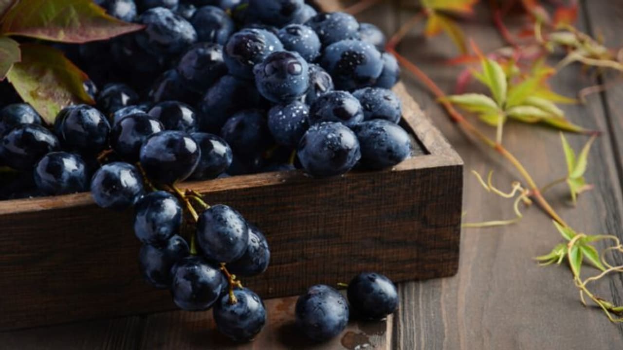 കറുത്ത മുന്തിരി പതിവായി കഴിക്കുന്നത് കൊണ്ടുള്ള ഈ ഗുണങ്ങള്‍ അറിയാതെ പോകരുതേ... 