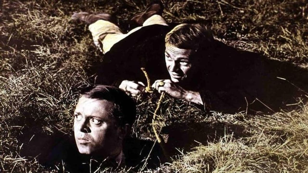 Touching Discovery: World War II 'Great Escape' captives' secret letters unveiled, tale of hope and resilience