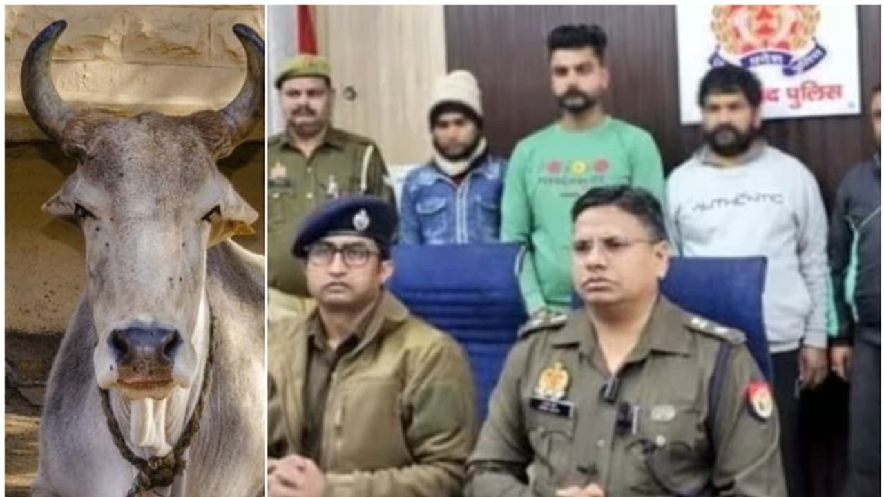 റോഡിൽ പശുക്കളുടെ ജഡം, സമീപത്ത് മുസ്ലിം യുവാവിന്റെ ഫോട്ടോയും ഫോൺ നമ്പറും; അറസ്റ്റിലായത് ബജ്റംഗ് ദൾ നേതാക്കൾ റോഡിൽ പശുക്കളുടെ ജഡം, സമീപത്ത് മുസ്ലിം യുവാവിന്റെ ഫോട്ടോയും ഫോൺ നമ്പറും; അറസ്റ്റിലായത് ബജ്റംഗ് ദൾ നേതാക്കൾ