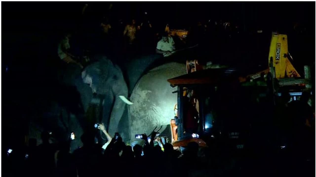 തണ്ണീര്ക്കൊമ്പന്റെ ശരീരത്തിൽ ധാരാളം പെല്ലെറ്റ് കൊണ്ട പാടുകൾ, ആന തിരുനെല്ലി സര്വാണിയിലും എത്തിയെന്ന് സംശയം തണ്ണീര്ക്കൊമ്പന്റെ ശരീരത്തിൽ ധാരാളം പെല്ലെറ്റ് കൊണ്ട പാടുകൾ, ആന തിരുനെല്ലി സര്വാണിയിലും എത്തിയെന്ന് സംശയം