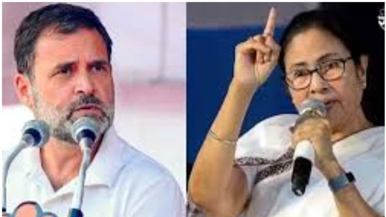 'ഇന്ത്യ' തർക്കം അതിരൂക്ഷം? ആഞ്ഞടിച്ച് മമത; കോൺഗ്രസിനും രാഹുലിനും രൂക്ഷ വിമർശനം, 'ദേശാടന പക്ഷിയെപ്പോലെ രാഹുൽ' 'ഇന്ത്യ' തർക്കം അതിരൂക്ഷം? ആഞ്ഞടിച്ച് മമത; കോൺഗ്രസിനും രാഹുലിനും രൂക്ഷ വിമർശനം, 'ദേശാടന പക്ഷിയെപ്പോലെ രാഹുൽ'