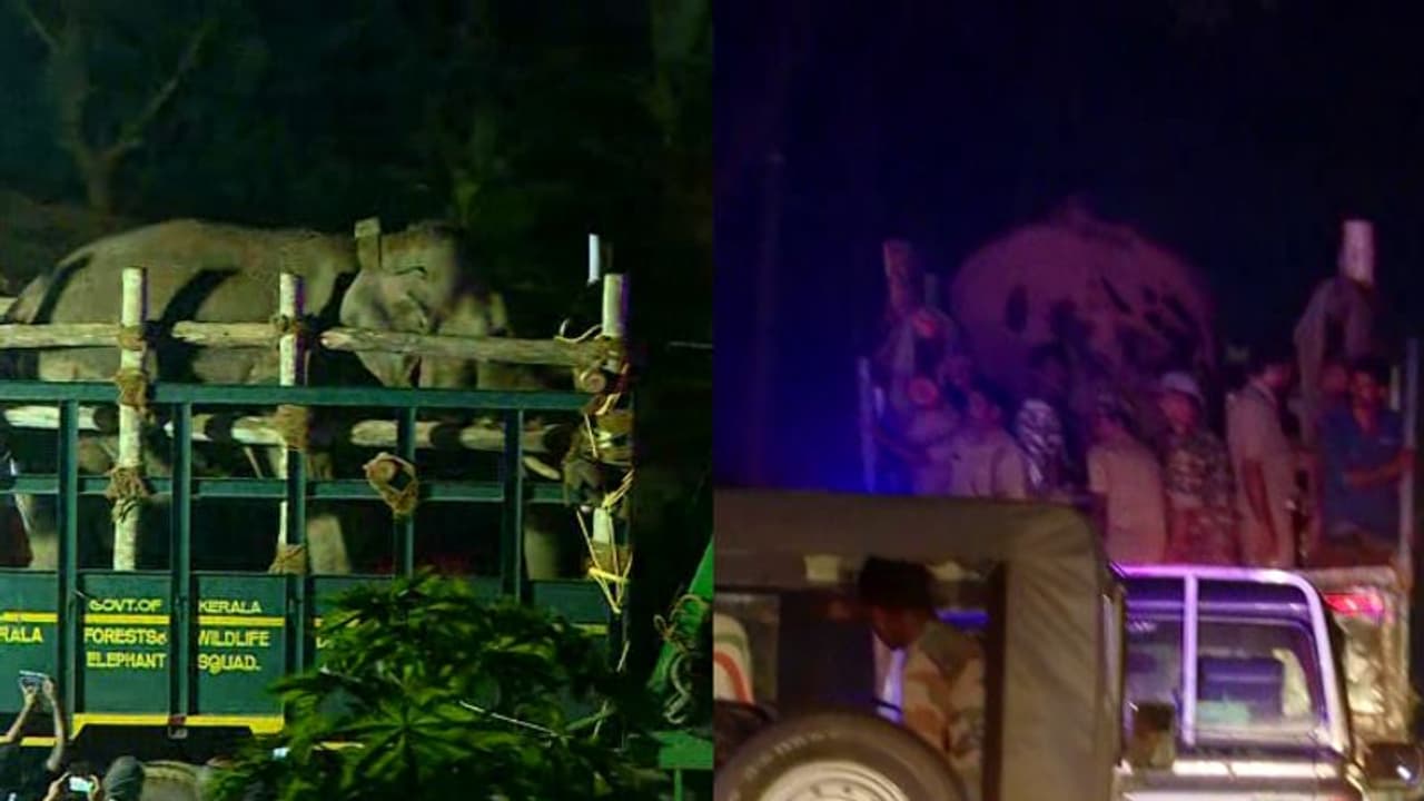 തണ്ണീര്‍ കൊമ്പൻ 'കന്നട മണ്ണില്‍', പൂർണ ആരോഗ്യവാൻ, നിർണായക പരിശോധനകൾക്കുശേഷം ഇന്ന് തന്നെ തുറന്നുവിട്ടേക്കും