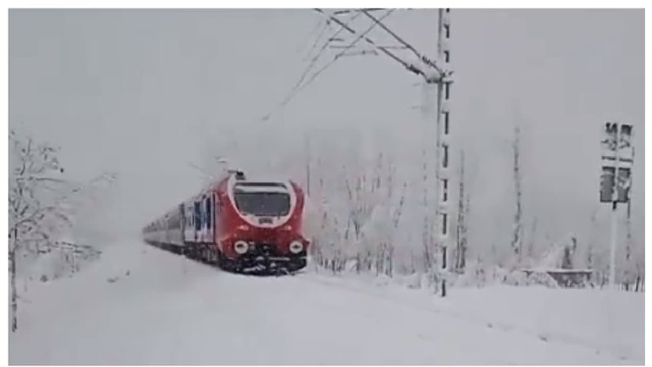 'സ്വപ്നം പോലൊരു യാത്ര....'; സ്വിറ്റ്സർലൻഡിലല്ല, കശ്മീരില്, വൈറല് വീഡിയോ കാണാം ! 'സ്വപ്നം പോലൊരു യാത്ര....'; സ്വിറ്റ്സർലൻഡിലല്ല, കശ്മീരില്, വൈറല് വീഡിയോ കാണാം !