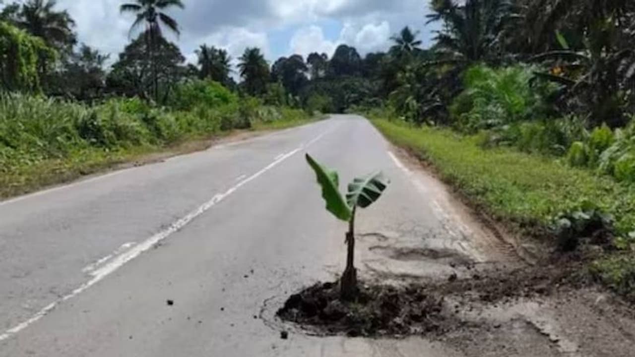 അരിശംവന്ന് റോഡിൽ വാഴവച്ചു, സംഭവം വൈറൽ, കുഴിമൂടാൻ പാഞ്ഞെത്തി അധികൃതർ