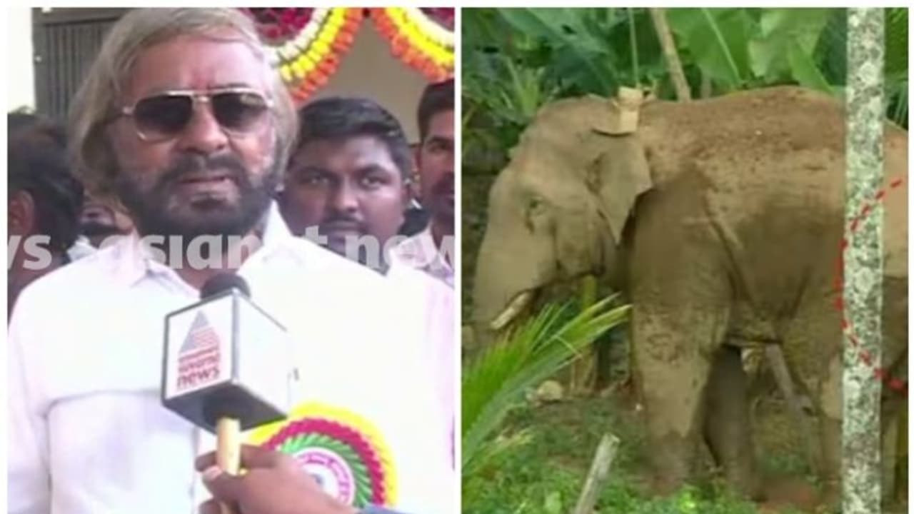 'തണ്ണീർക്കൊമ്പൻ ചെരിഞ്ഞതിൽ അന്വേഷണം തുടങ്ങി, വീഴ്ച കണ്ടെത്തിയാൽ കർശന നടപടി': കർണാടക വനംമന്ത്രി ഈശ്വര ഖണ്ഡരെ 'തണ്ണീർക്കൊമ്പൻ ചെരിഞ്ഞതിൽ അന്വേഷണം തുടങ്ങി, വീഴ്ച കണ്ടെത്തിയാൽ കർശന നടപടി': കർണാടക വനംമന്ത്രി ഈശ്വര ഖണ്ഡരെ