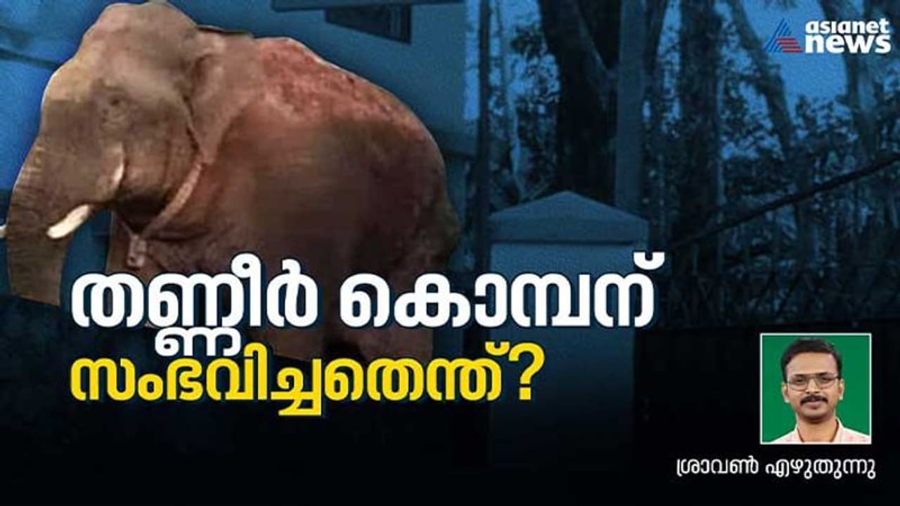 ഇരുപതുകാരന്‍, ആരോഗ്യ ദൃഢഗാത്രനായ കാട്ടുകൊമ്പന്‍, എന്നിട്ടും തണ്ണീര്‍ കൊമ്പന് സംഭവിച്ചതെന്ത് ? 