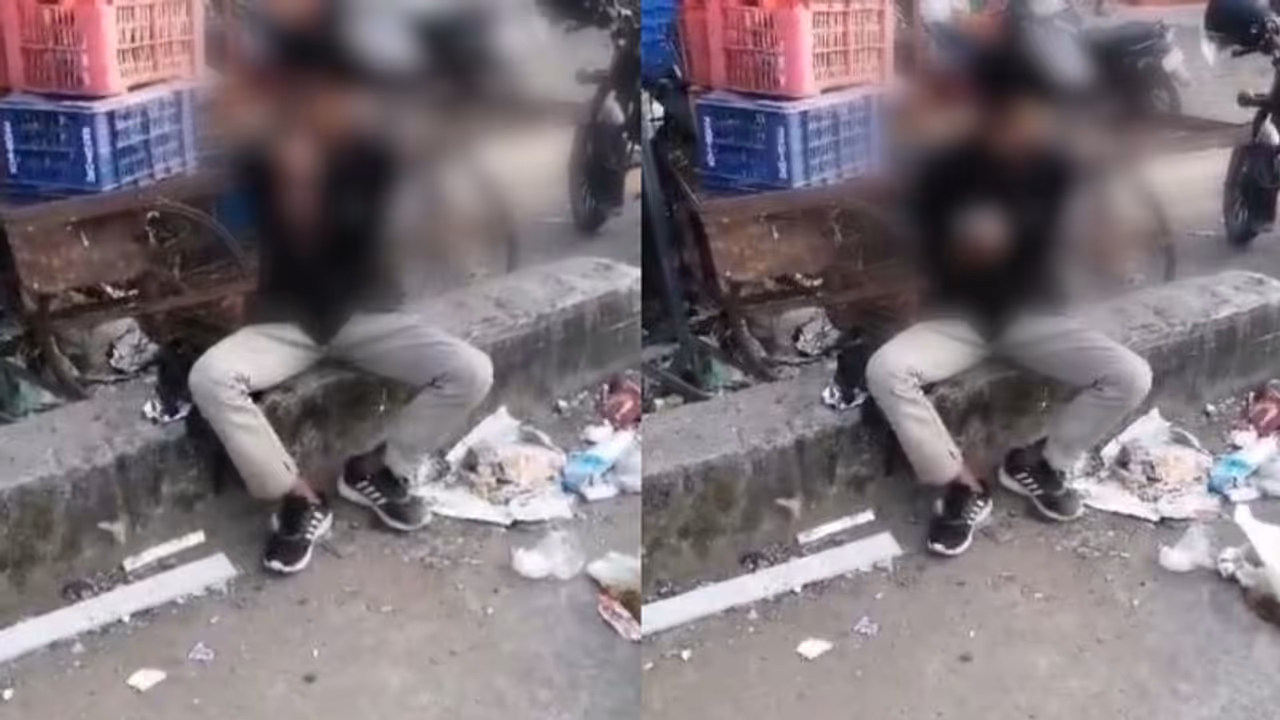 അവിശ്വസനീയം! കുറ്റിപ്പുറത്ത് പൂച്ചയെ പച്ചയ്ക്ക് ഭക്ഷിച്ച് യുവാവ്, ഞെട്ടലില്‍ നാട്ടുകാര്‍