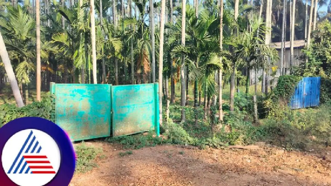 Karnataka: Three tonnes of cow bones discovered at Bhadravathi in Shimoga, accused arresed