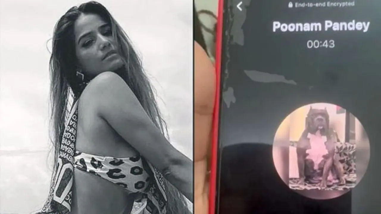 'Gaaliyaan bohut padi hain...' Poonam Pandey in leaked audio call with Rakhi Sawant after faking death (WATCH) 'Gaaliyaan bohut padi hain...' Poonam Pandey in leaked audio call with Rakhi Sawant after faking death (WATCH)