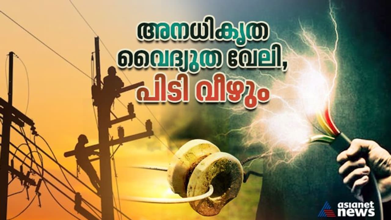 കഴിഞ്ഞ മാസവും ഷോക്കേറ്റ് 2 മരണം, ഇനി അനുവദിക്കില്ല; അനധികൃത വൈദ്യുതി വേലികള്‍ തേടി കെഎസ്ഇബി, കർശന നടപടി