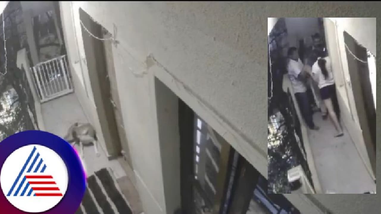 ನಾಯಿ ಸಾಕುವ ವಿಚಾರಕ್ಕೆ ಕಿರಿಕ್; ಮನೆ ಮಾಲೀಕರು, ಬಾಡಿಗೆದಾರರ ನಡುವೆ ಮಾರಾಮಾರಿ! ನಾಯಿ ಸಾಕುವ ವಿಚಾರಕ್ಕೆ ಕಿರಿಕ್; ಮನೆ ಮಾಲೀಕರು, ಬಾಡಿಗೆದಾರರ ನಡುವೆ ಮಾರಾಮಾರಿ!