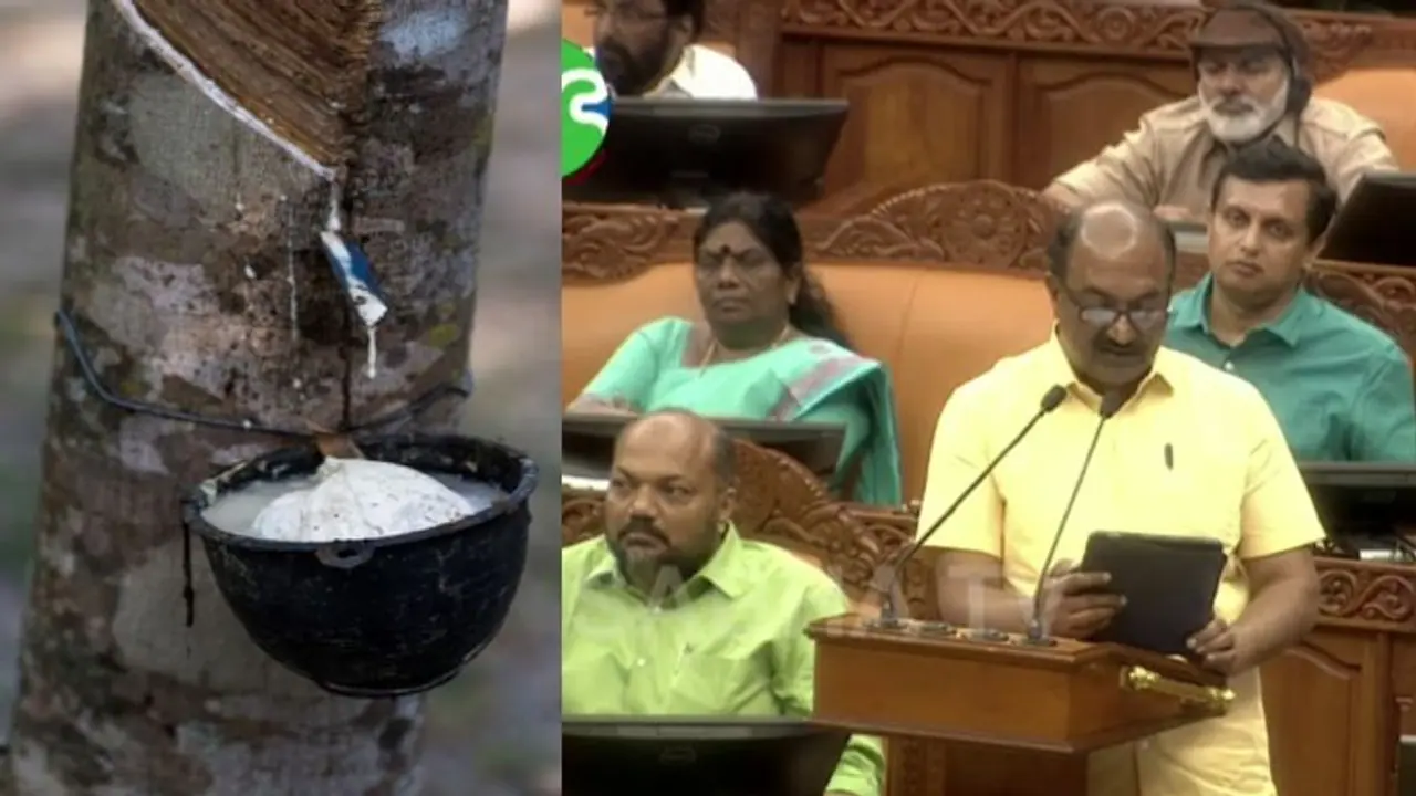 മലയോര കര്ഷകര്ക്ക് ആശ്വാസ തീരുമാനം: സംസ്ഥാനത്ത് റബ്ബറിന്റെ താങ്ങുവില ഉയര്ത്തി, പ്രഖ്യാപനം ബജറ്റ് പ്രസംഗത്തിൽ മലയോര കര്ഷകര്ക്ക് ആശ്വാസ തീരുമാനം: സംസ്ഥാനത്ത് റബ്ബറിന്റെ താങ്ങുവില ഉയര്ത്തി, പ്രഖ്യാപനം ബജറ്റ് പ്രസംഗത്തിൽ