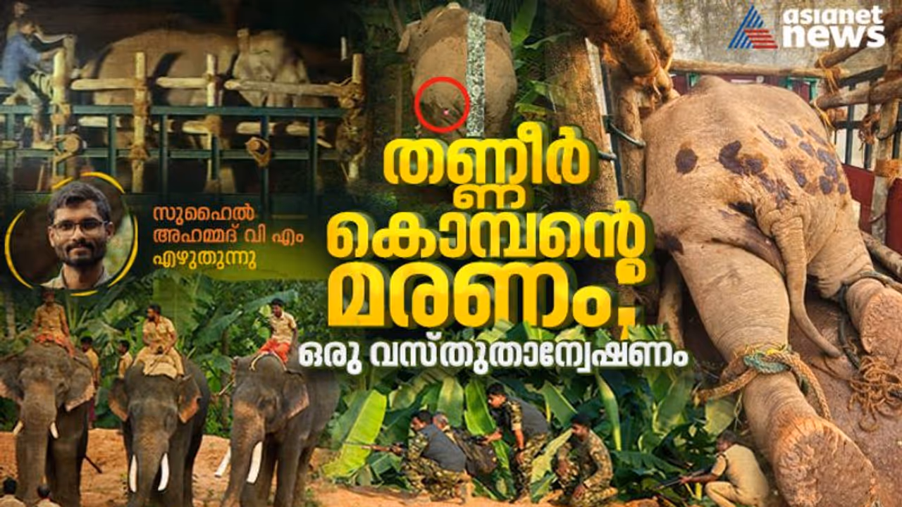 കാടിറങ്ങിയവനെ വീണ്ടും കാടുകയറ്റി. പക്ഷേ...; തണ്ണീര്‍ കൊമ്പന്‍റെ ജീവനെടുത്തതെന്ത്? ഒരു വസ്തുതാന്വേഷണം