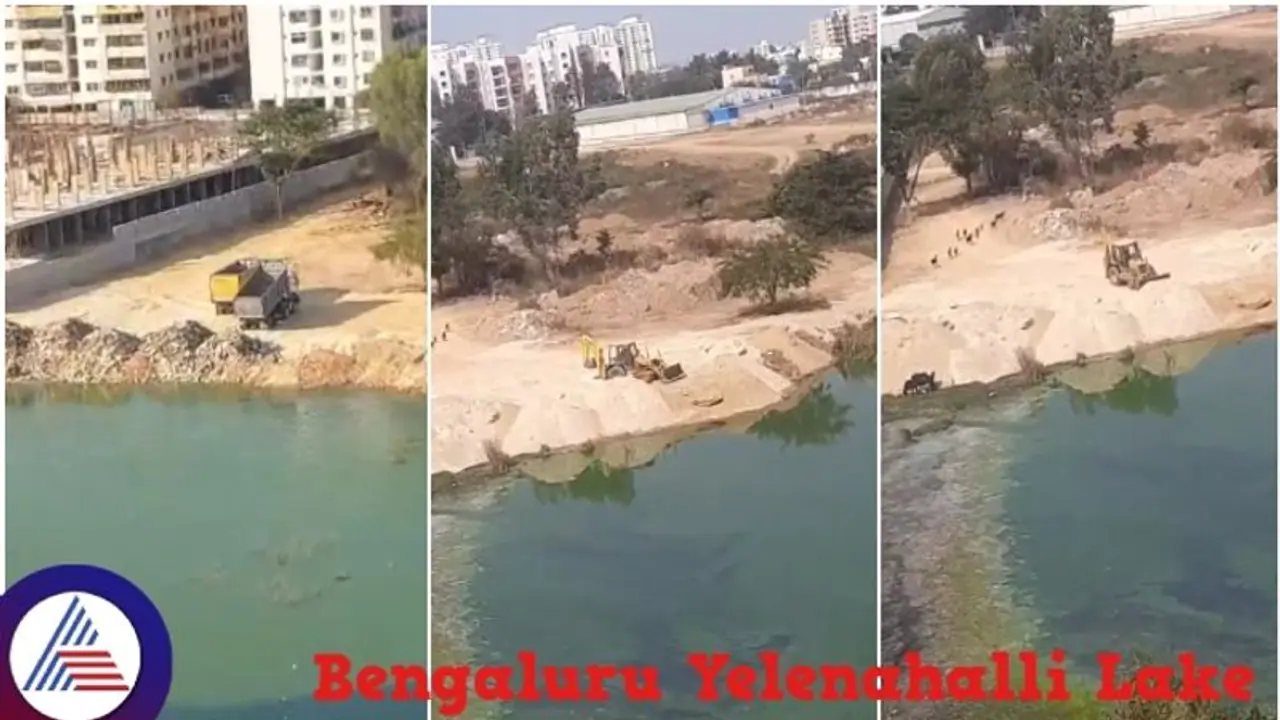 Real estate developers, BBMP officials accused of involvement in encroaching Yelenahalli Lake in Bengaluru Real estate developers, BBMP officials accused of involvement in encroaching Yelenahalli Lake in Bengaluru