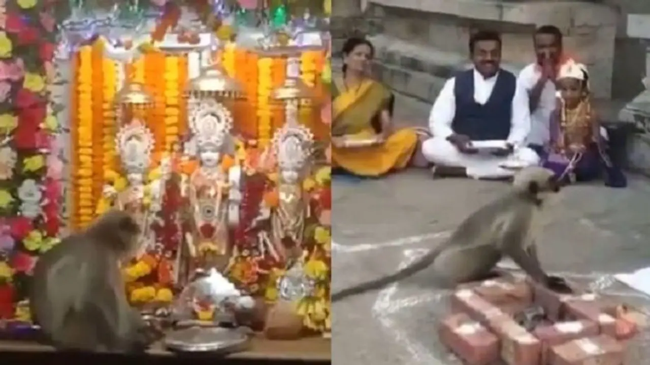 రాముడి కోసం వస్తున్న హనుమంతుడు.. విగ్రహం పాదాలను తాకి వెళ్తున్న కోతి.. వీడియోలు వైరల్ రాముడి కోసం వస్తున్న హనుమంతుడు.. విగ్రహం పాదాలను తాకి వెళ్తున్న కోతి.. వీడియోలు వైరల్