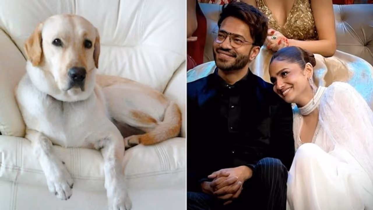 Ankita Lokhande's dog passes away; Vicky Jain comments on the gift given by Sushant Singh Rajput Ankita Lokhande's dog passes away; Vicky Jain comments on the gift given by Sushant Singh Rajput