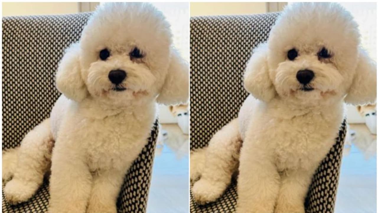 22 ലക്ഷം സ്വന്തം പോക്കറ്റിലാക്കാം, ചെയ്യേണ്ടത് ചെറിയൊരു പണി മാത്രം! ദാ ഇതിനെ ഒന്ന് കണ്ടെത്തി കൊടുക്കണം 22 ലക്ഷം സ്വന്തം പോക്കറ്റിലാക്കാം, ചെയ്യേണ്ടത് ചെറിയൊരു പണി മാത്രം! ദാ ഇതിനെ ഒന്ന് കണ്ടെത്തി കൊടുക്കണം