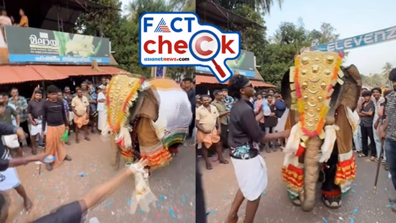 കേരളത്തിലെ ആനയുടെ നൃത്തം ഉത്തരേന്ത്യ വരെ വൈറല്; പക്ഷേ വീഡിയോയില് ട്വിസ്റ്റ്! Fact Check കേരളത്തിലെ ആനയുടെ നൃത്തം ഉത്തരേന്ത്യ വരെ വൈറല്; പക്ഷേ വീഡിയോയില് ട്വിസ്റ്റ്! Fact Check