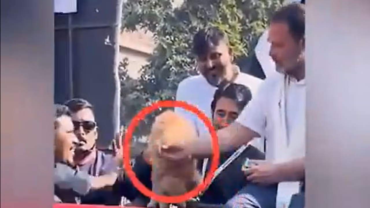 Rahul Gandhi clarifies over viral video, says ‘dog ate biscuits from owner’s hand’ Rahul Gandhi clarifies over viral video, says ‘dog ate biscuits from owner’s hand’