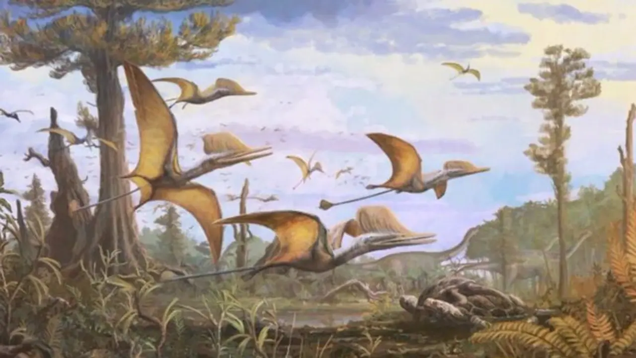 Shocking! Fossil of rare flying reptile from middle Jurassic era found on Scottish island