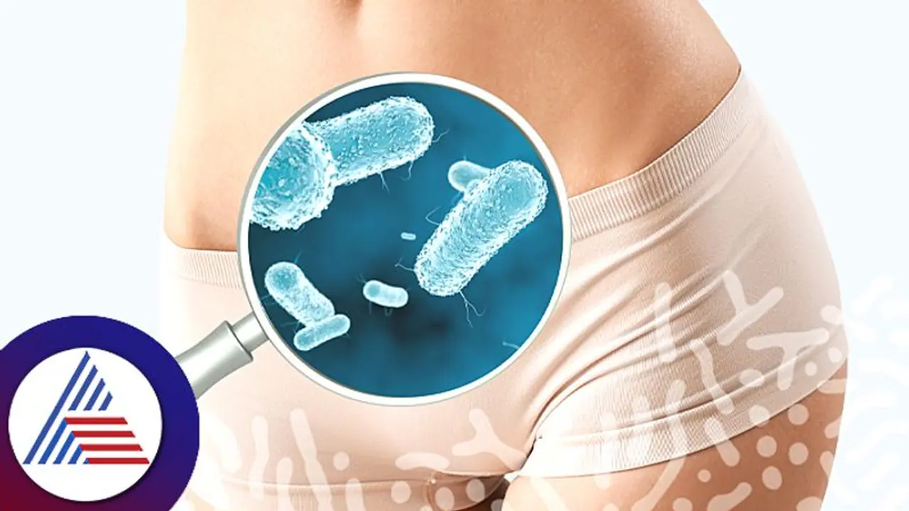 ಯೋನಿ ಮೈಕ್ರೋಬಯೋಮ್ ಆರೋಗ್ಯವಾಗಿದ್ಯಾ? ಹೀಗೆ ಚೆಕ್ ಮಾಡಿ ಯೋನಿ ಮೈಕ್ರೋಬಯೋಮ್ ಆರೋಗ್ಯವಾಗಿದ್ಯಾ? ಹೀಗೆ ಚೆಕ್ ಮಾಡಿ