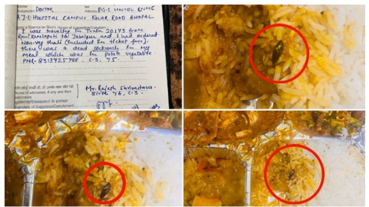 'പരാതിപ്പെടരുത്. ഇത് അച്ഛാ ദിൻ ആണ്'; വന്ദേഭാരതില്‍ വിളമ്പിയ ഭക്ഷണത്തില്‍ 'ചത്ത പാറ്റ'യെന്ന് പരാതി ! 