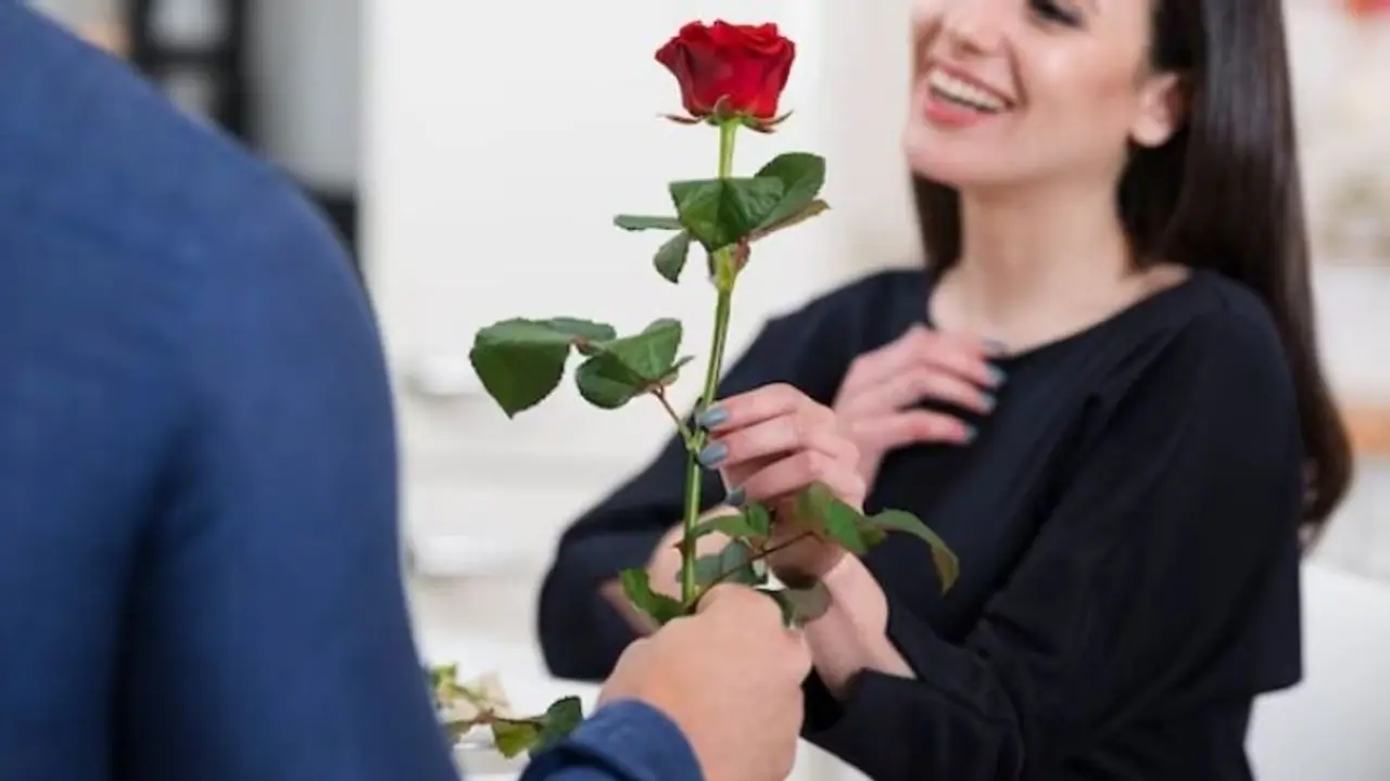 Rose Day 2024: 6 reasons and significance of giving roses to someone Rose Day 2024: 6 reasons and significance of giving roses to someone