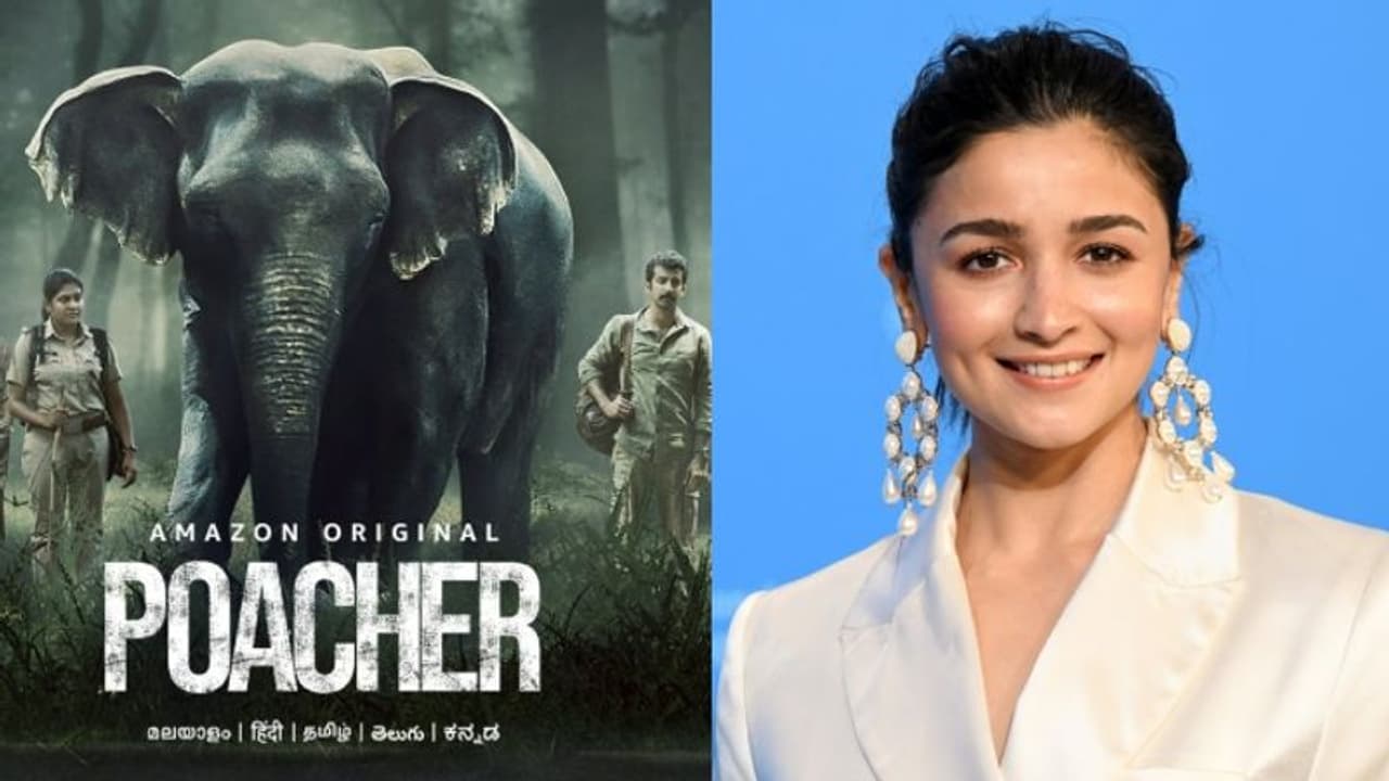 ആനക്കൊമ്പ് വേട്ടയുടെ കഥയുമായി നിമിഷയും റോഷനും; 240ലധികം രാജ്യങ്ങളിൽ സ്ട്രീമിംഗ്, 'പോച്ചറി'ന്റെ ഭാഗമായി ആലിയ ആനക്കൊമ്പ് വേട്ടയുടെ കഥയുമായി നിമിഷയും റോഷനും; 240ലധികം രാജ്യങ്ങളിൽ സ്ട്രീമിംഗ്, 'പോച്ചറി'ന്റെ ഭാഗമായി ആലിയ