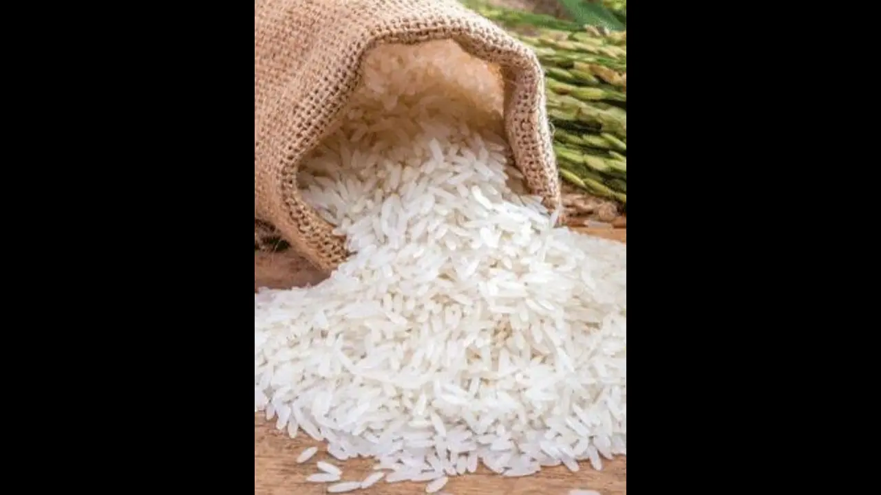 Kerala: Sale of Sabari K Rice to be launched by CM Pinarayi Vijayan; Know rates of rice and more Kerala: Sale of Sabari K Rice to be launched by CM Pinarayi Vijayan; Know rates of rice and more