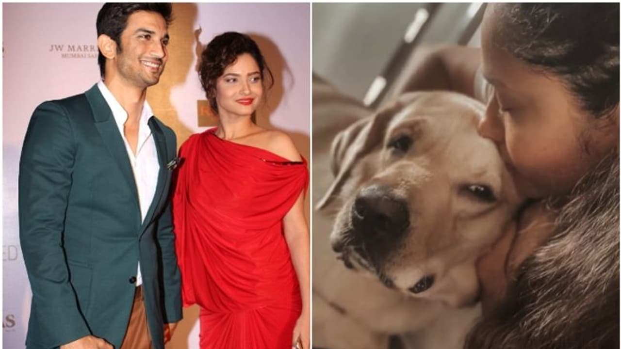 'സുശാന്തിന്റെ സമ്മാനമായിരുന്നു'; വേദന പങ്കിട്ട് സുശാന്ത് സിംഗിന്റെ മുൻ കാമുകി അങ്കിത... 'സുശാന്തിന്റെ സമ്മാനമായിരുന്നു'; വേദന പങ്കിട്ട് സുശാന്ത് സിംഗിന്റെ മുൻ കാമുകി അങ്കിത...