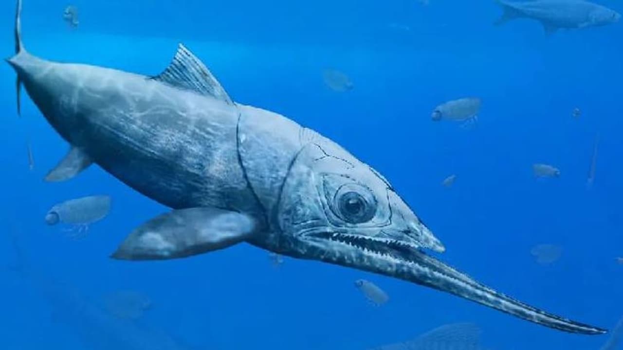 വെള്ളത്തിലും അന്യഗ്രഹജീവിയോ? ഒടുവിൽ കണ്ടെത്തി സമുദ്രത്തെ ഭരിച്ചിരുന്ന ആ പുരാതനമത്സ്യത്തിന്റെ രഹസ്യം വെള്ളത്തിലും അന്യഗ്രഹജീവിയോ? ഒടുവിൽ കണ്ടെത്തി സമുദ്രത്തെ ഭരിച്ചിരുന്ന ആ പുരാതനമത്സ്യത്തിന്റെ രഹസ്യം