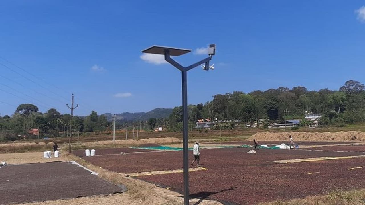 ಕೊಡಗು: ಕಾಫಿ ಬೀಜ ರಕ್ಷಣೆಗೆ ಸಿಸಿ ಕ್ಯಾಮೆರಾ ಮೊರೆ ಹೋದ ರೈತರು..!