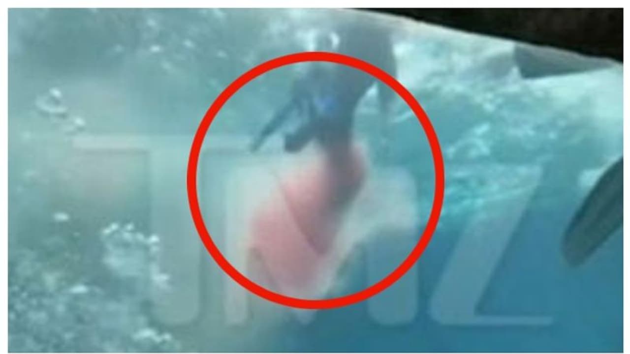 സ്രാവുകളെ അടുത്തുനിന്ന് കാണാൻ ടാങ്കിലിറങ്ങിയ പത്ത് വയസ്സുകാരന്‍റെ കാല് സ്രാവുകള്‍ കടിച്ചു മുറിച്ചു