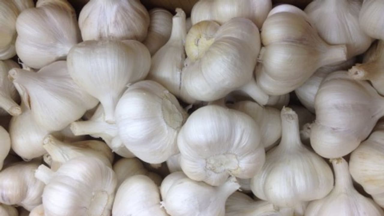 വില കുത്തനെ മുകളിലേക്ക്; ചാക്ക് കണക്കിന് വെളുത്തുള്ളി മോഷണം പോകുന്നെന്ന പരാതിയുമായി കര്‍ഷകര്‍ !