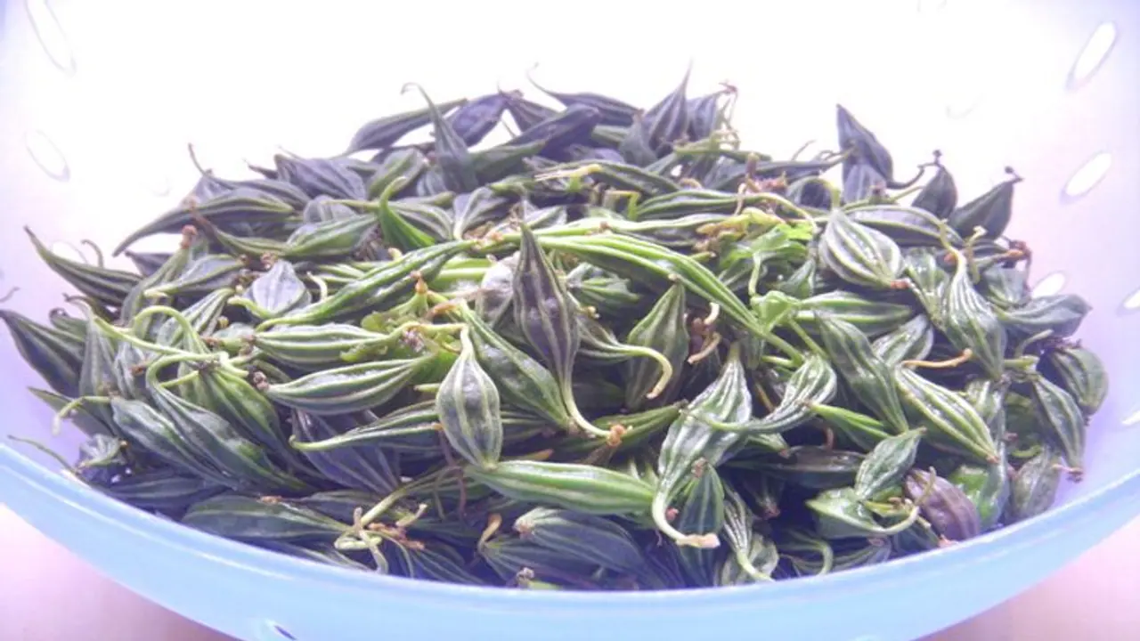 'அதலைக்காய்' சர்க்கரை நோய் முதல் புற்று நோய் வரை சிறந்த மருந்து.. அடிக்கடி சாப்பிடுங்க!!