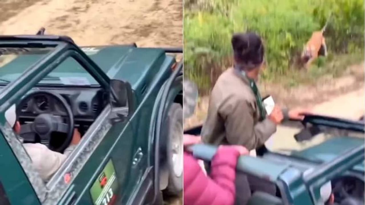 കാട്ടിൽ വീഡിയോ പകർത്തുന്ന യുവതി, പെട്ടെന്ന് പ്രതീക്ഷിക്കാത്ത അതിഥി മുന്നിൽ; ഭയപ്പെടുത്തും ഈ രം​ഗം