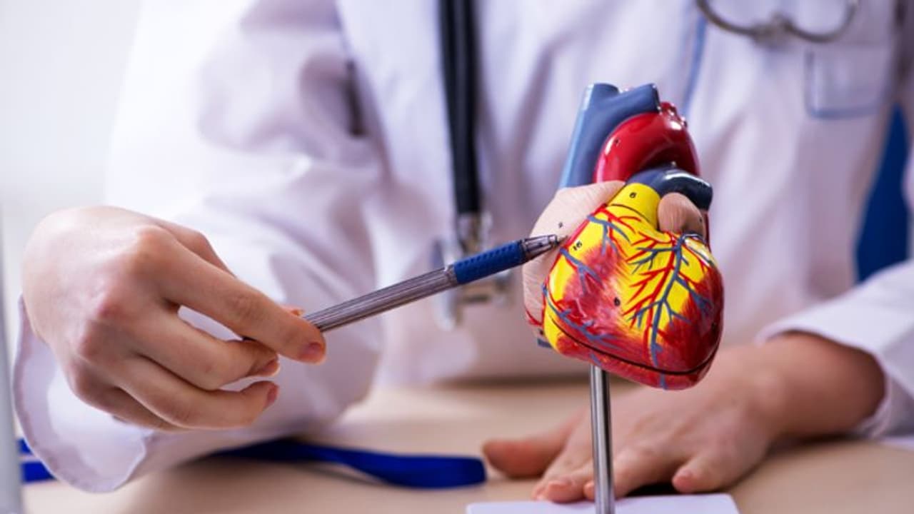 ಭಾರತದಲ್ಲಿ ಹೃದಯ ಕಾಯಿಲೆ ಹೆಚ್ಚಳಕ್ಕೆ ಸಿಟ್ಟಿಂಗ್ ಸ್ಮೋಕಿಂಗ್‌ ಕಾರಣ!