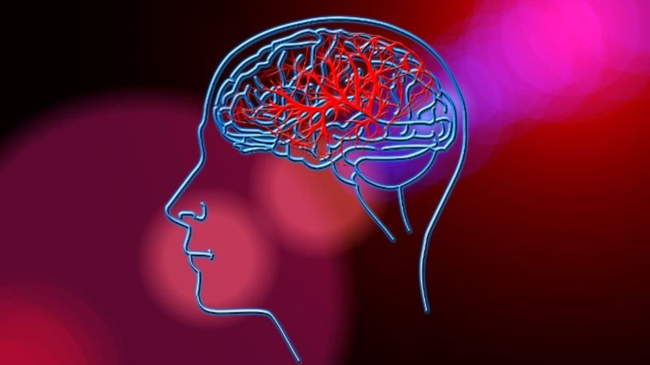 സ്ട്രോക്ക് അഥവാ പക്ഷാഘാതത്തിന്റെ സാധ്യതയെ തടയാന് കഴിക്കാം ഈ ഭക്ഷണങ്ങള്... സ്ട്രോക്ക് അഥവാ പക്ഷാഘാതത്തിന്റെ സാധ്യതയെ തടയാന് കഴിക്കാം ഈ ഭക്ഷണങ്ങള്...