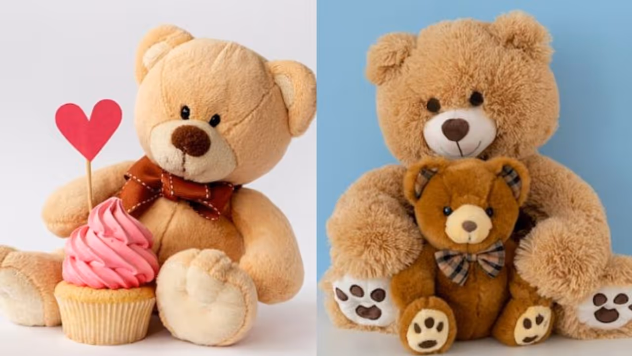 Teddy Day 2024: What, why and when do we celebrate this day Teddy Day 2024: What, why and when do we celebrate this day