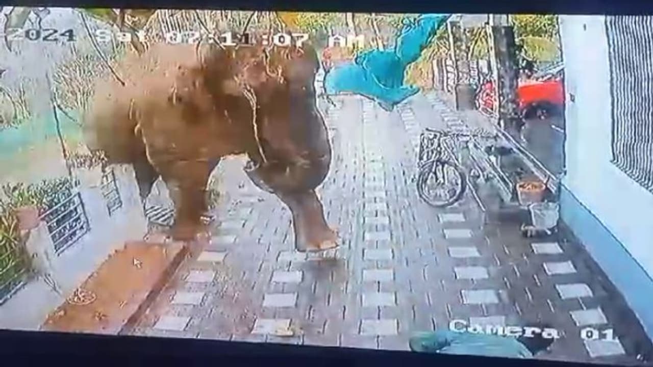 കാട്ടാനആക്രമണം തടയാന് വനംവകുപ്പ് എന്ത് ചെയ്തു?റേഡിയോ കോളറുള്ള ആന വന്നിട്ടും അറിഞ്ഞില്ലേ?വയനാട്ടുകാരുടെ ചോദ്യം കാട്ടാനആക്രമണം തടയാന് വനംവകുപ്പ് എന്ത് ചെയ്തു?റേഡിയോ കോളറുള്ള ആന വന്നിട്ടും അറിഞ്ഞില്ലേ?വയനാട്ടുകാരുടെ ചോദ്യം