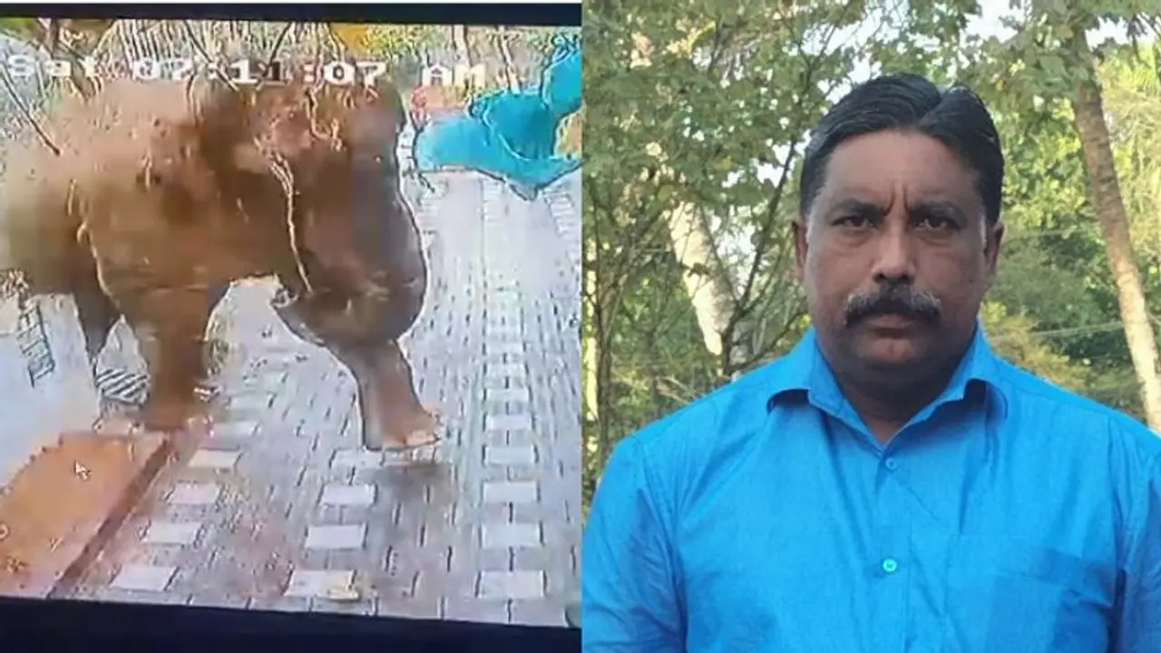 Kerala: Man killed in wild elephant attack in Wayanad