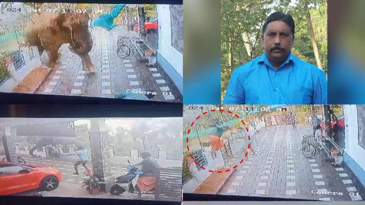 കാട്ടാനയുടെ റേഡിയോ കോളർ സിഗ്നൽ തന്നില്ലെന്ന് കേരളം, കേന്ദ്രീകൃത ട്രാക്കിംഗ് ഉണ്ടല്ലോയെന്ന് കര്ണാടകം കാട്ടാനയുടെ റേഡിയോ കോളർ സിഗ്നൽ തന്നില്ലെന്ന് കേരളം, കേന്ദ്രീകൃത ട്രാക്കിംഗ് ഉണ്ടല്ലോയെന്ന് കര്ണാടകം