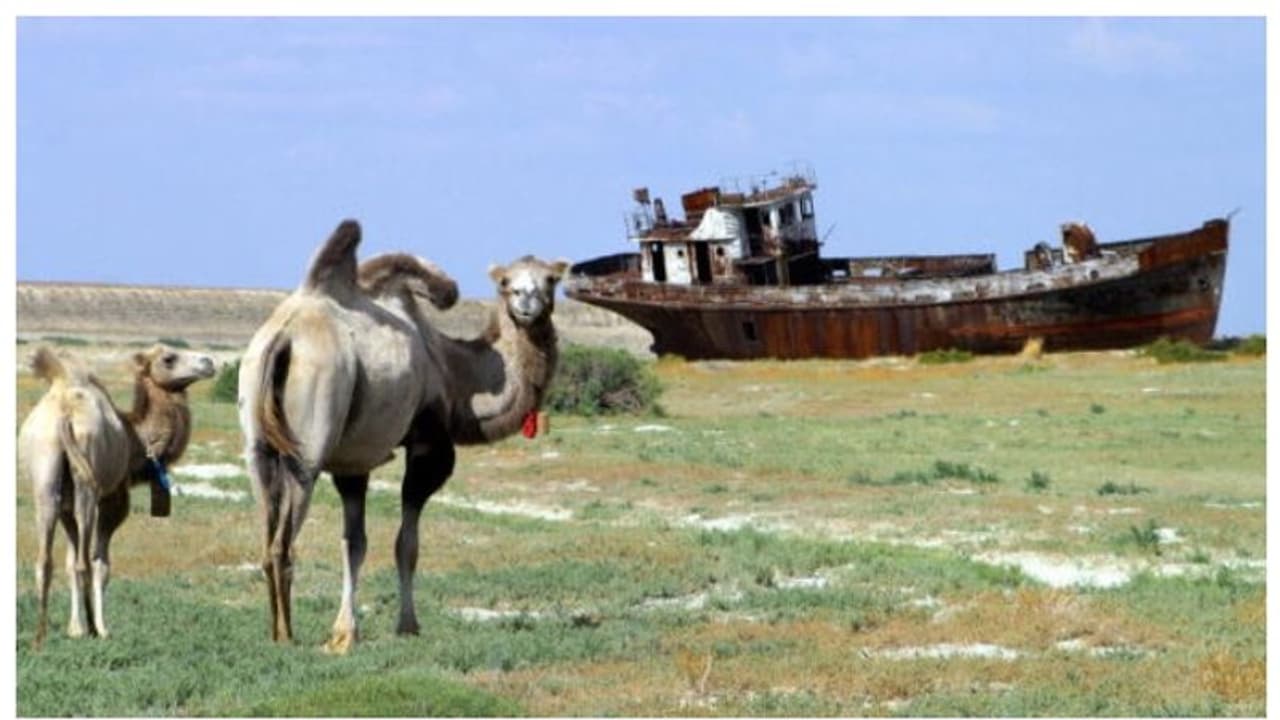 വെറും അമ്പത് വര്ഷം; അപ്രത്യക്ഷമായത് 68,000 സ്ക്വയർ കിലോമീറ്റര് വലിപ്പമുള്ള കടല് ! വെറും അമ്പത് വര്ഷം; അപ്രത്യക്ഷമായത് 68,000 സ്ക്വയർ കിലോമീറ്റര് വലിപ്പമുള്ള കടല് !