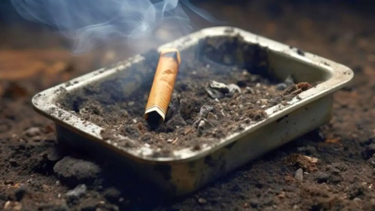 Those who quit smoking before age of 40 may live as long as those who never smoked: Report Those who quit smoking before age of 40 may live as long as those who never smoked: Report