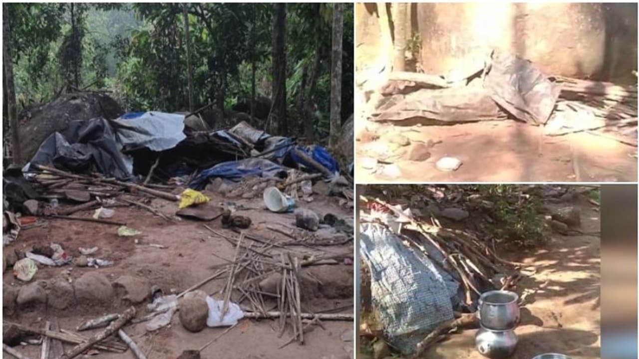 കോതമംഗലത്തും ഭീതിയായി കാട്ടാനക്കൂട്ടം, മണികണ്ഠൻ ചാലിനടുത്ത് ആനക്കൂട്ടം വീട് തകർത്തു കോതമംഗലത്തും ഭീതിയായി കാട്ടാനക്കൂട്ടം, മണികണ്ഠൻ ചാലിനടുത്ത് ആനക്കൂട്ടം വീട് തകർത്തു