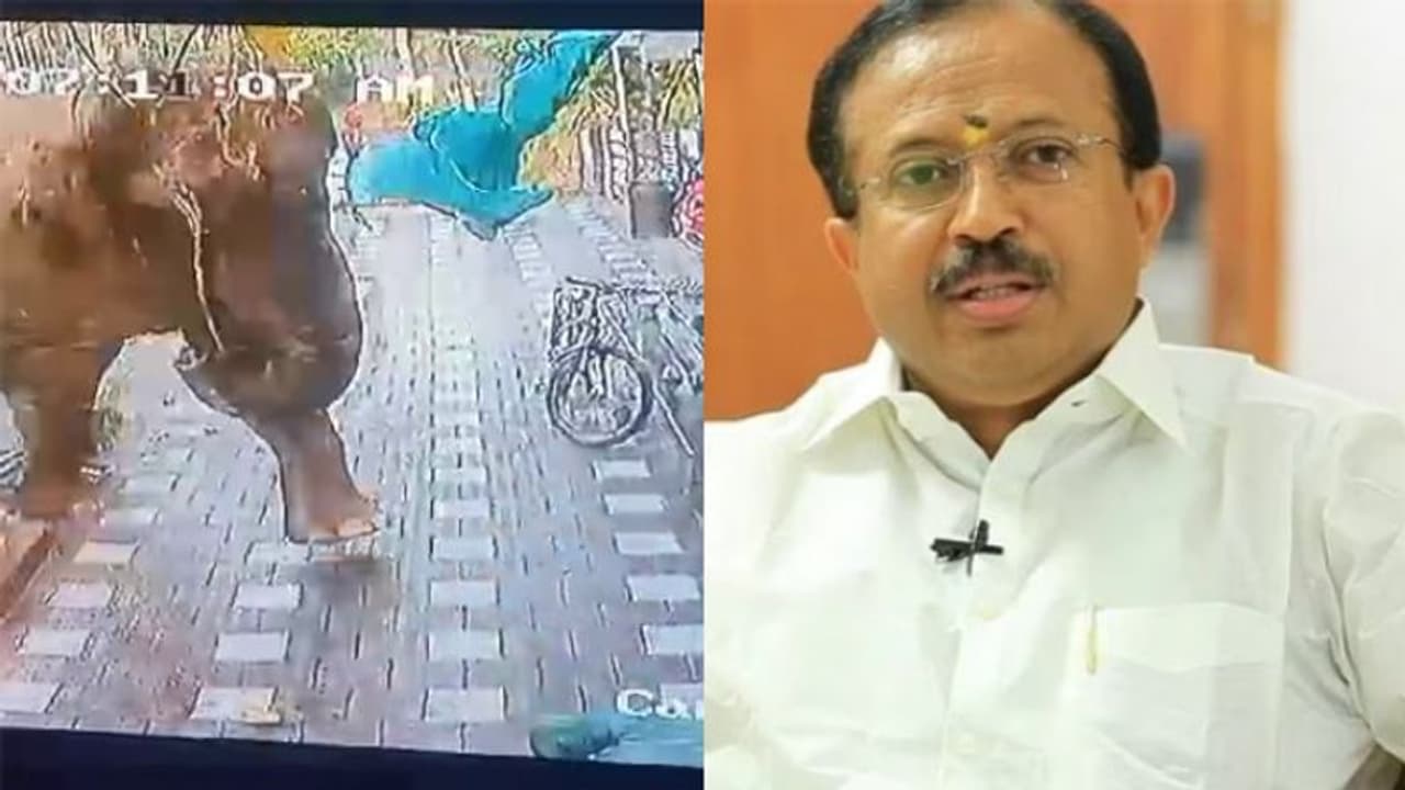 ജനങ്ങളുടെ ജീവന് സംരക്ഷണം ഉറപ്പാക്കാൻ കഴിയാത്ത വനംമന്ത്രിയെ പുറത്താക്കണം, ഗുരുതര വീഴ്ചയെന്ന് വി.മുരളീധരന് ജനങ്ങളുടെ ജീവന് സംരക്ഷണം ഉറപ്പാക്കാൻ കഴിയാത്ത വനംമന്ത്രിയെ പുറത്താക്കണം, ഗുരുതര വീഴ്ചയെന്ന് വി.മുരളീധരന്