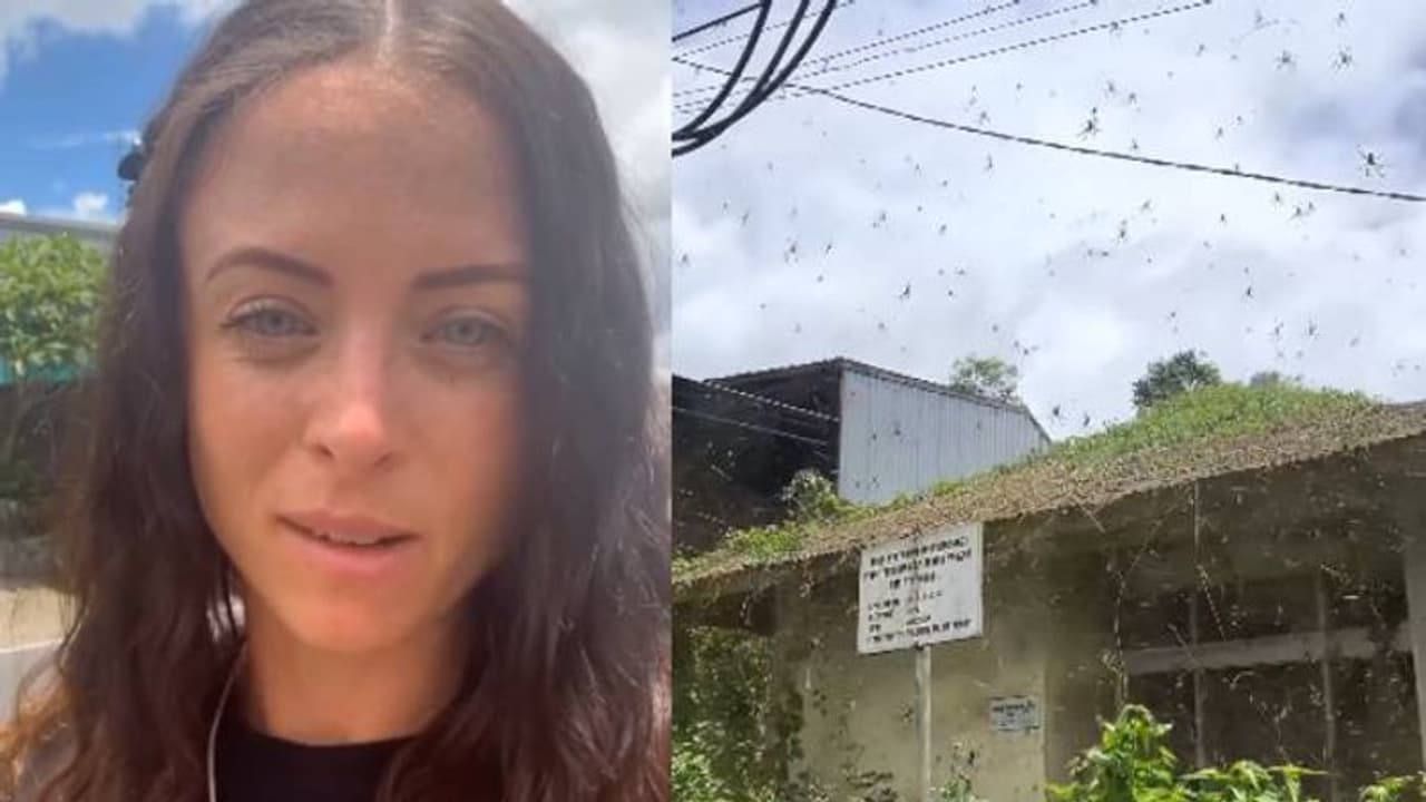 നിമിഷനേരം കൊണ്ട് വൈറലായ വീഡിയോ, ബാലിയിലേക്കുള്ള യാത്രയിൽ യുവതി കണ്ട കാഴ്ച നിമിഷനേരം കൊണ്ട് വൈറലായ വീഡിയോ, ബാലിയിലേക്കുള്ള യാത്രയിൽ യുവതി കണ്ട കാഴ്ച