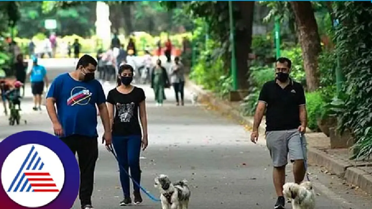 Karnataka: Govt to open gates of Cubbon Park in Bengaluru for traffic on 2nd, 4th Saturdays