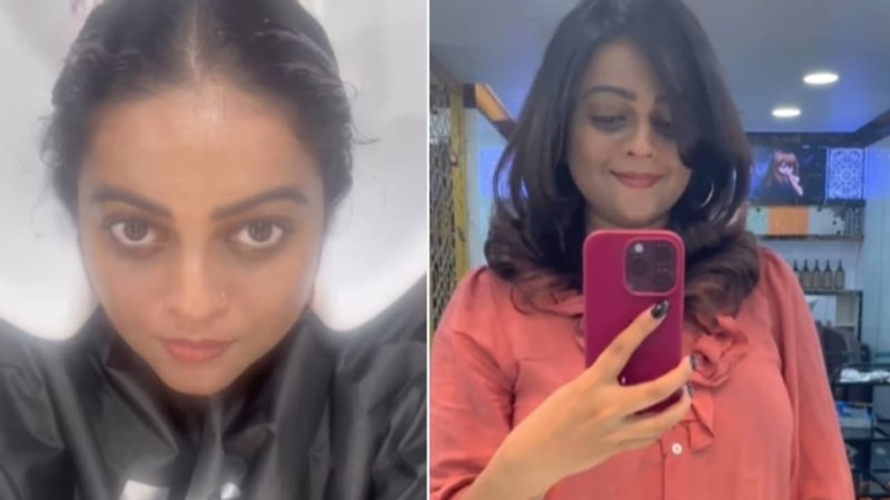 'അയഞ്ഞ് തൂങ്ങിയ പഴയ മറ്റേർണിറ്റി ഡ്രെസ്സുകളിലെ ജീവിതം, ചുരുണ്ടും പശുവിന്റെ വാല് പോലെയും കിടന്ന മുടി'