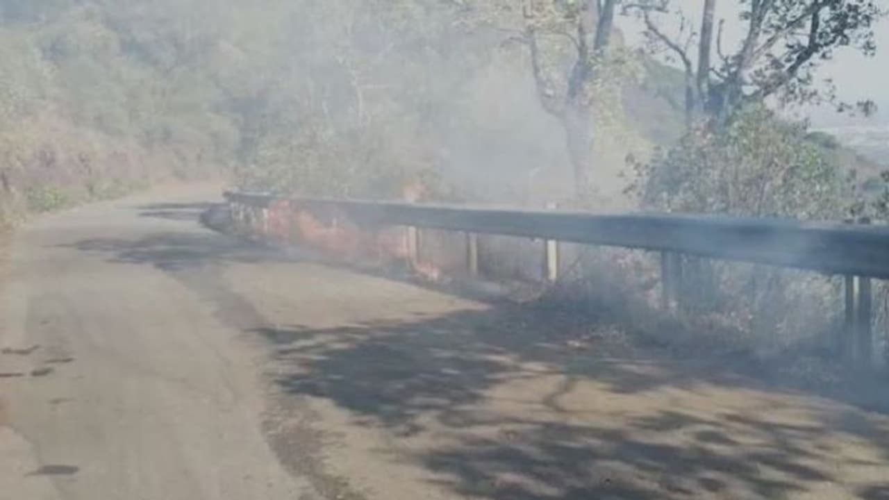 ಚಿಕ್ಕಮಗಳೂರು: ಮುಳ್ಳಯ್ಯನಗಿರಿ ಗುಡ್ಡದಲ್ಲಿ ಕಾಡ್ಗಿಚ್ಚು, ಅಪಾರ ಪ್ರಮಾಣದ ಸಸ್ಯ ಸಂಪತ್ತು ನಾಶ ಚಿಕ್ಕಮಗಳೂರು: ಮುಳ್ಳಯ್ಯನಗಿರಿ ಗುಡ್ಡದಲ್ಲಿ ಕಾಡ್ಗಿಚ್ಚು, ಅಪಾರ ಪ್ರಮಾಣದ ಸಸ್ಯ ಸಂಪತ್ತು ನಾಶ